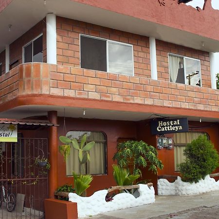 Hostal Cattleya Puerto Baquerizo Moreno Exterior photo
