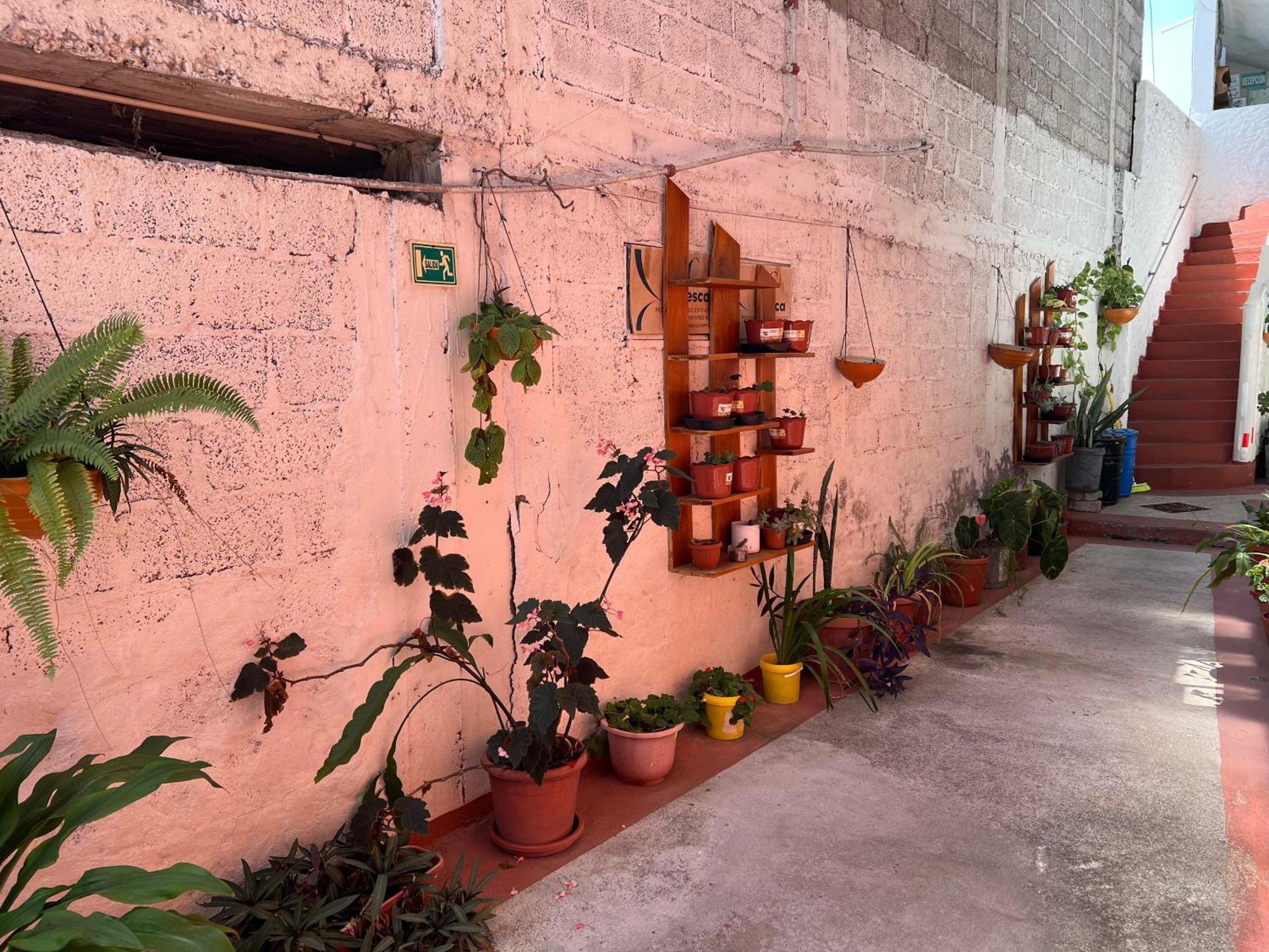 Hostal Cattleya Puerto Baquerizo Moreno Exterior photo