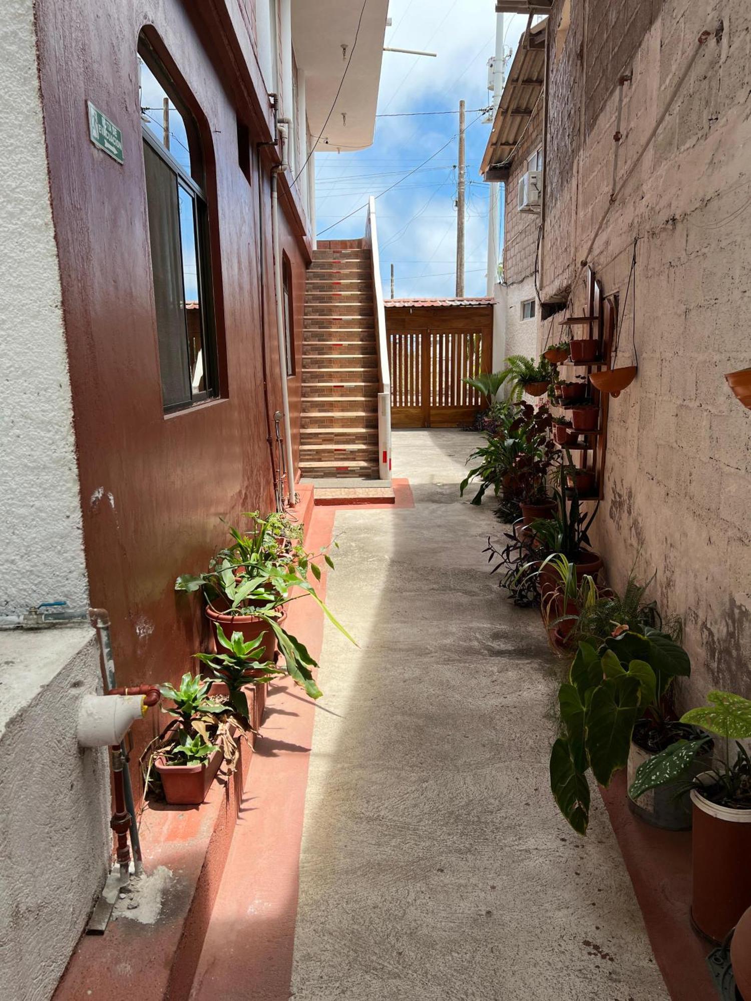 Hostal Cattleya Puerto Baquerizo Moreno Exterior photo