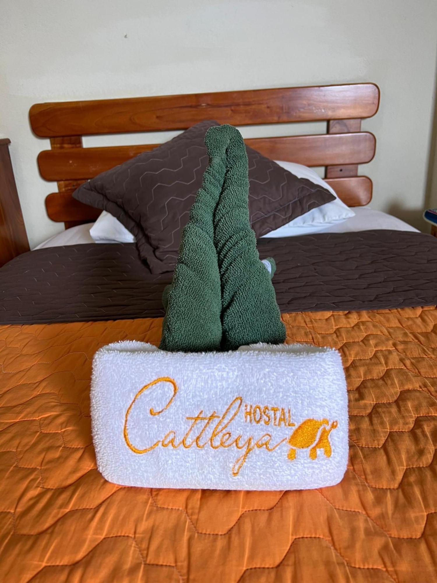 Hostal Cattleya Puerto Baquerizo Moreno Exterior photo